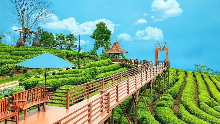 Perjalanan Nyaman dari Cilacap ke Bandung dengan Putra Pelangi